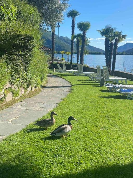 Holiday On The Lake Lugano 2-16 Bissone Exteriér fotografie